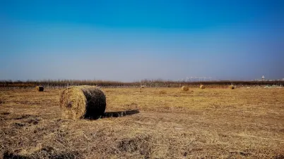 카카두 카지노 모바일 앱